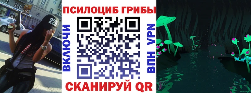 Псилоцибиновые грибы Psilocybe Благодарный